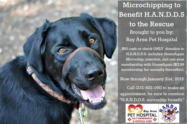 Home Again Microchips For Rescues